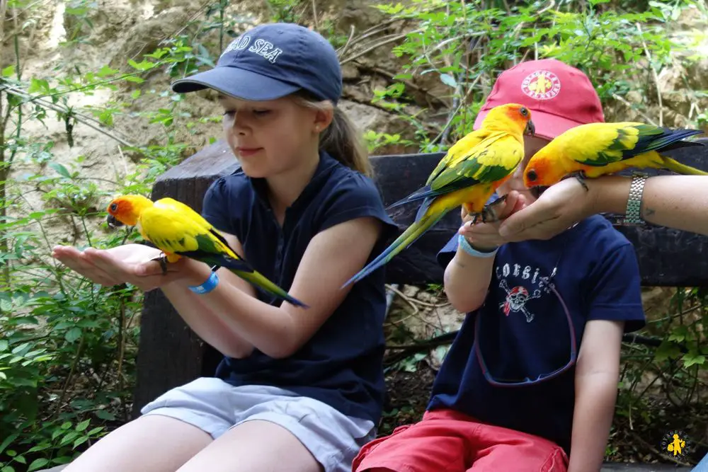 Benidorm parc animalier Mundomar Parcs animaliers à Benidorm en famille | Blog VOYAGES ET ENFANTS