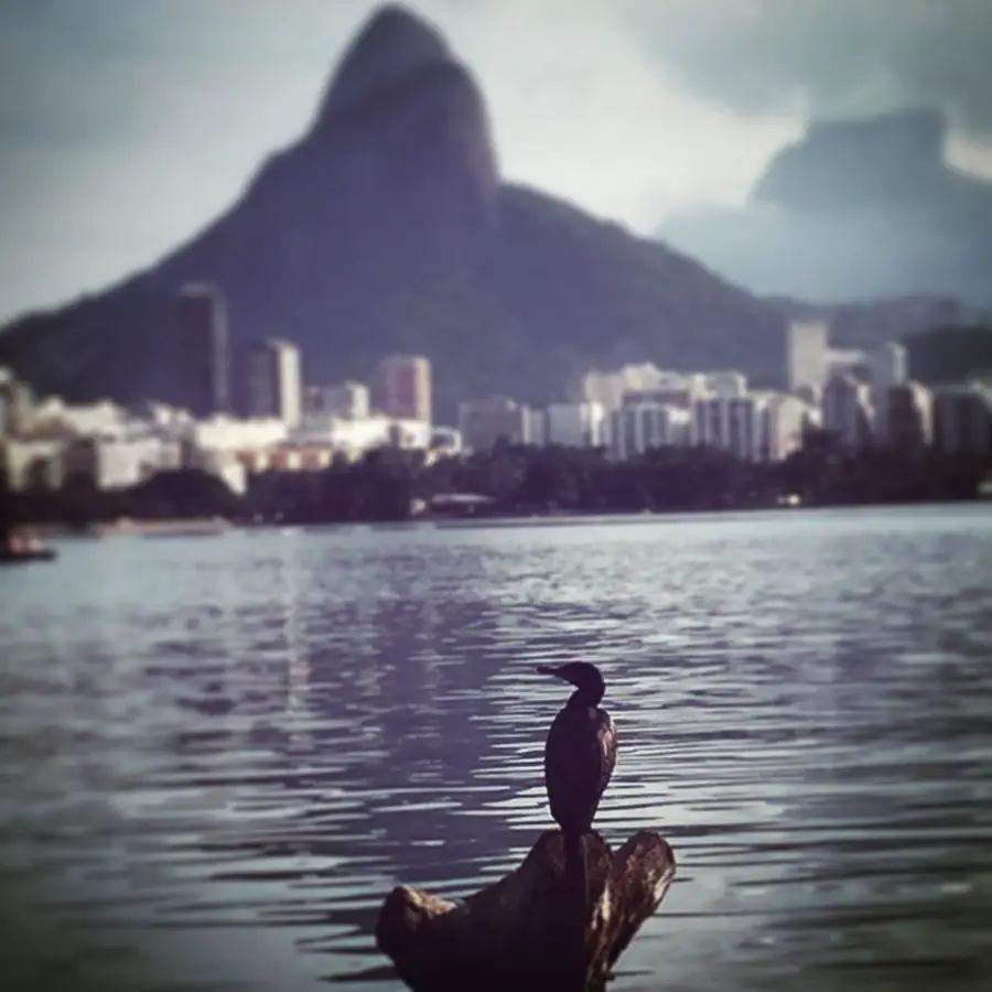 lagoa Visiter Rio de Janeiro en famille | Blog VOYAGES ET ENFANTS