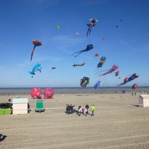 Le Nord - Pas de Calais en famille 10 Le Nord - Pas de Calais en famille