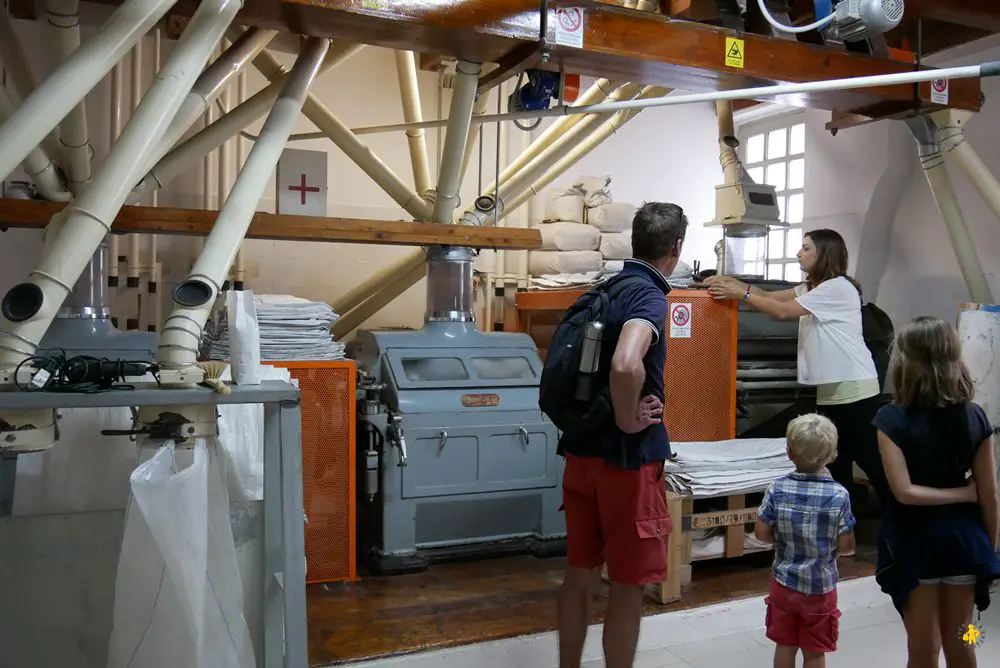 2016 08 19 pouilles 2 altamura 42 Que faire dans Les Pouilles en famille Activités pour enfant