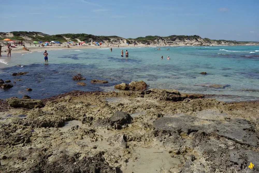 2016 08 20 pouilles 1 torre di guaceto 1 Que faire dans Les Pouilles en famille Activités pour enfant