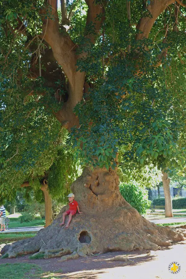 2016 08 20 pouilles 2 ostuni 6 Que faire dans Les Pouilles en famille Activités pour enfant