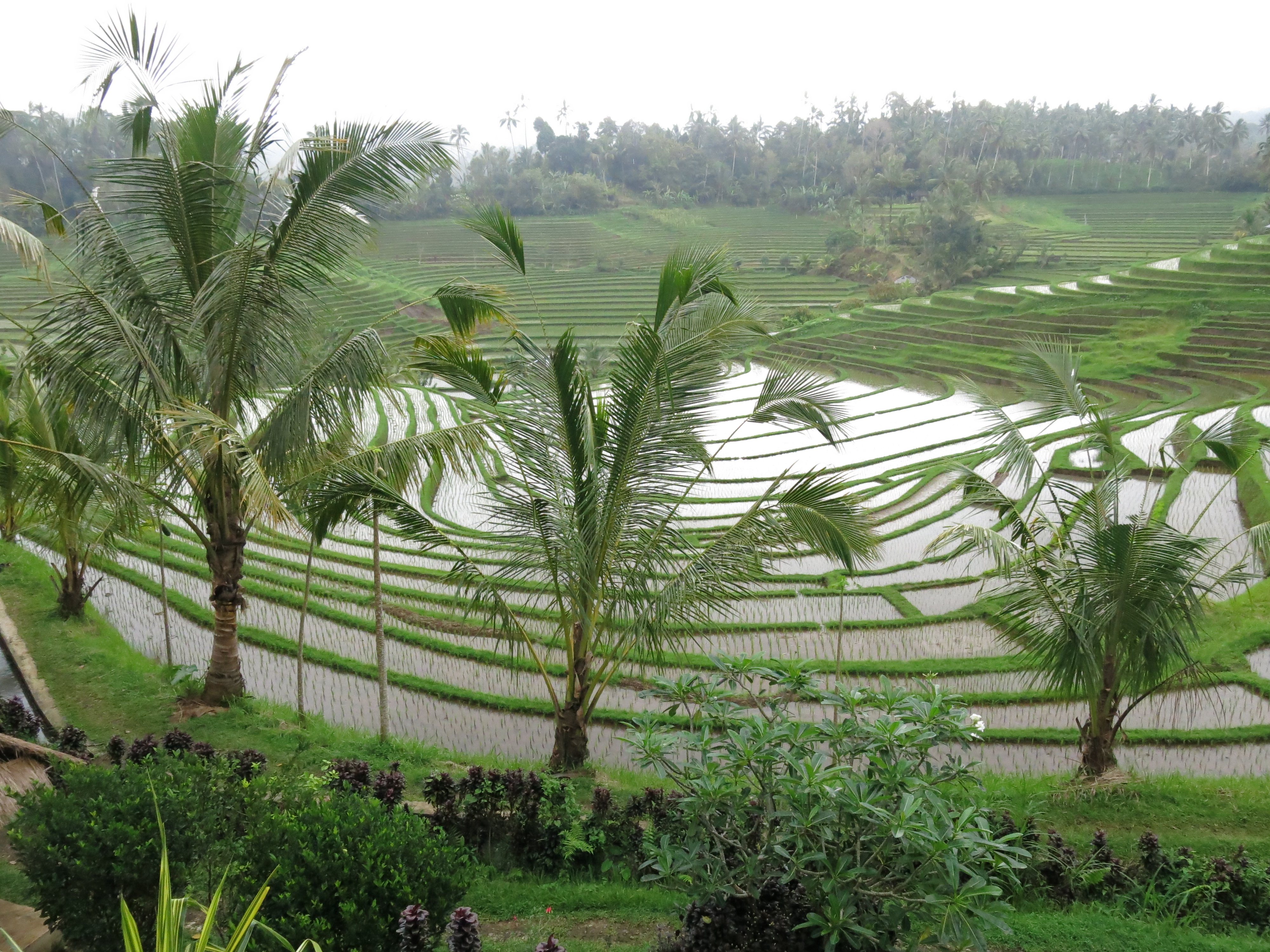 IMG 6516 Voyage à Bali en famille avec chauffeur | Blog VOYAGES ET ENFANTS