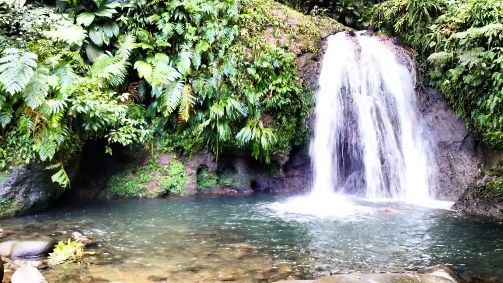 img 20160326 110843 Séjour sur Basse Terre en famille | Blog VOYAGES ET ENFANTS