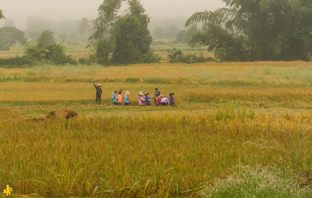 2016 11 13 thailande chiang khan dansai 192 12016 11 13 thailande chiang khan dansai Loei en famille Thailande hors sentier battus | Blog VOYAGES ET ENFANTS