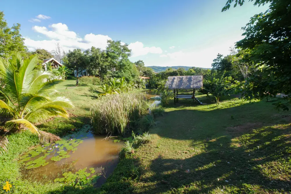 2016 11 13 thailande chiang khan dansai 592 12016 11 13 thailande chiang khan dansai Loei en famille Thailande hors sentier battus | Blog VOYAGES ET ENFANTS