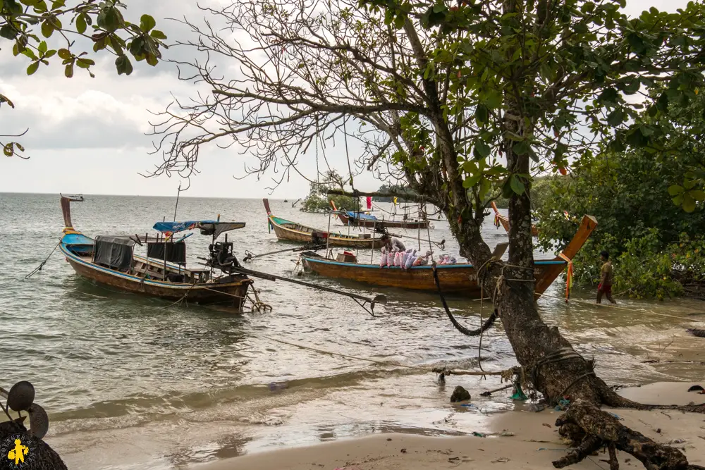 2016 11 17 Thailande Ko Muk 44 120161117 Thailande Koh Mook Sud Thaïlande hors sentiers battus Trang Koh Muk Ko Kradan