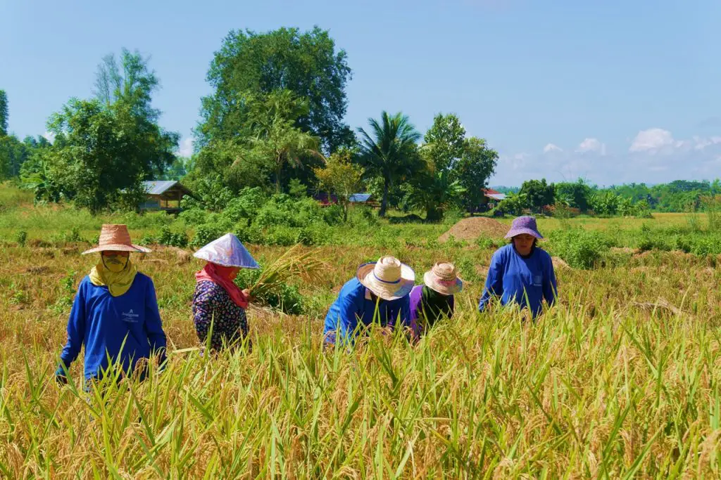 Thailande Itinéraire Road trip en famille top idées