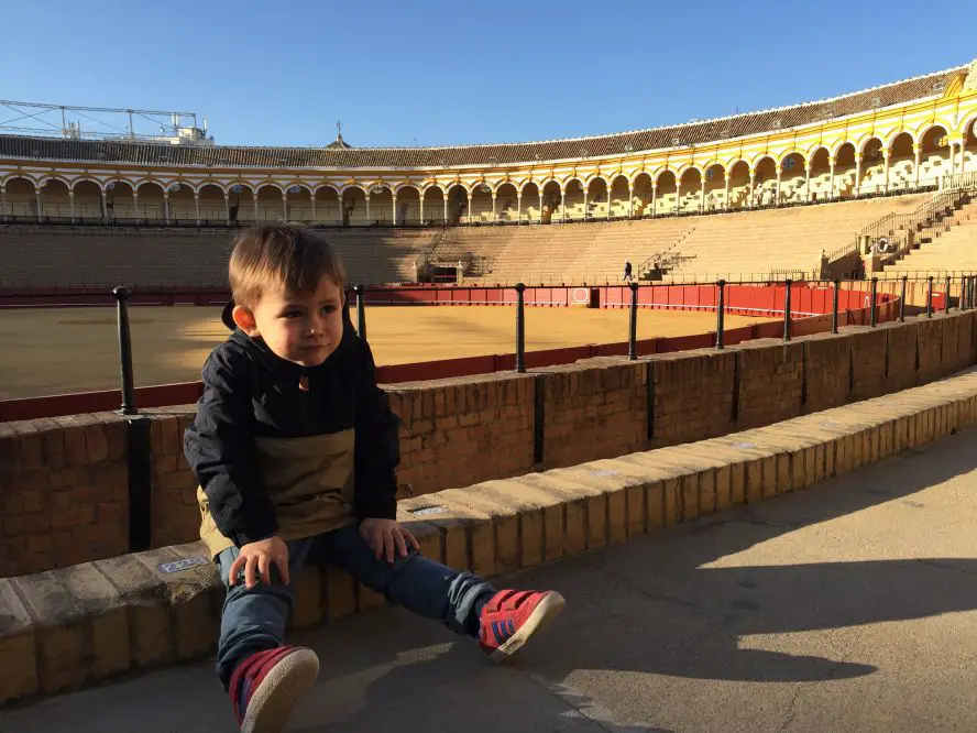 plaza de toros seville Andalousie en famille Visiter lAndalousie en famille Séville et Malaga