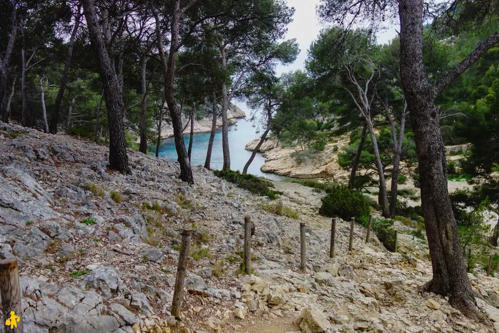 DSC06287 120170226 Calanques compressed Les Calanques en famille Marseille ou Cassis pour randonner | Blog VOYAGES ET ENFANTS