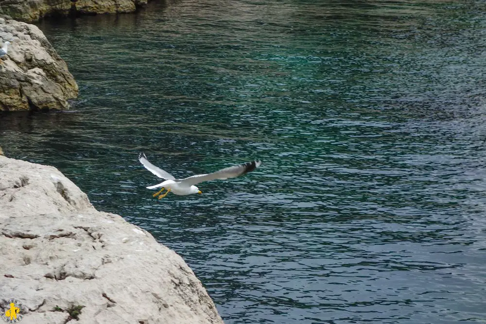 DSC06323 120170226 Calanques compressed Les Calanques en famille Marseille ou Cassis pour randonner | Blog VOYAGES ET ENFANTS