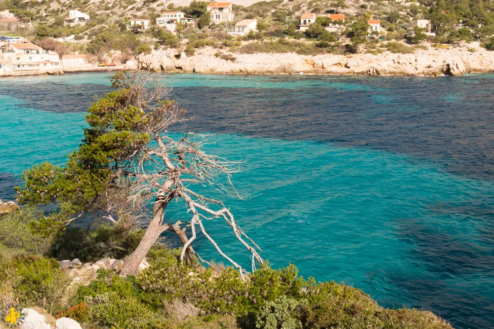 P1110122 120170226 Calanques Les Calanques en famille Marseille ou Cassis pour randonner | Blog VOYAGES ET ENFANTS