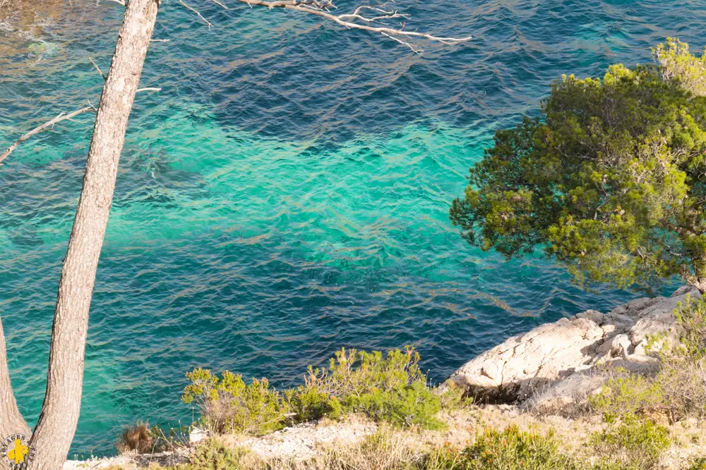 P1110135 120170226 Calanques Les Calanques en famille Marseille ou Cassis pour randonner | Blog VOYAGES ET ENFANTS