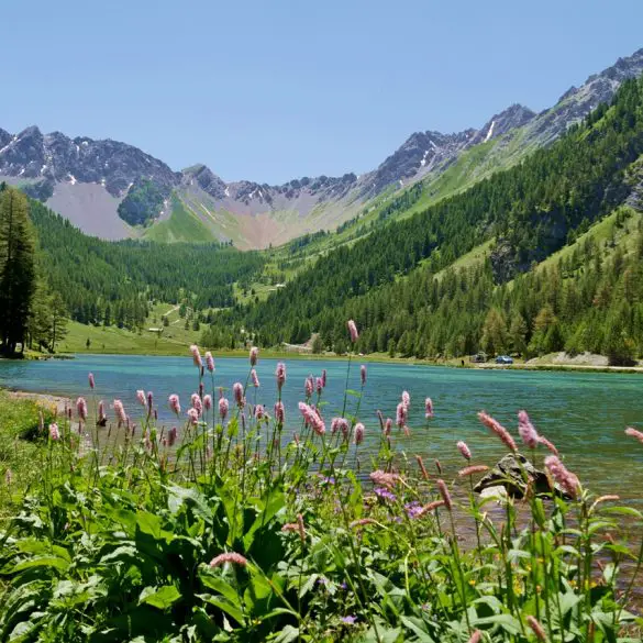 Notre top des destinations nature... 17 Notre top des destinations nature...