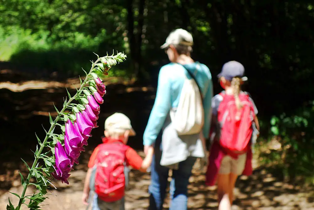 20160717 Auvergne en famille Rando des Puys Jumes et Coquilles 118 compressed Escapade en Auvergne en famille | Blog VOYAGES ET ENFANTS