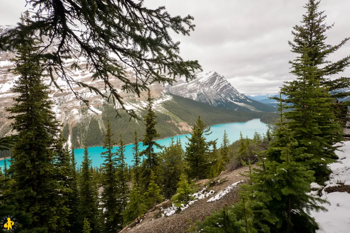 Ouest canadien avec enfant Peyto Lake Ouest Canadien itinéraire conseil budget en famille