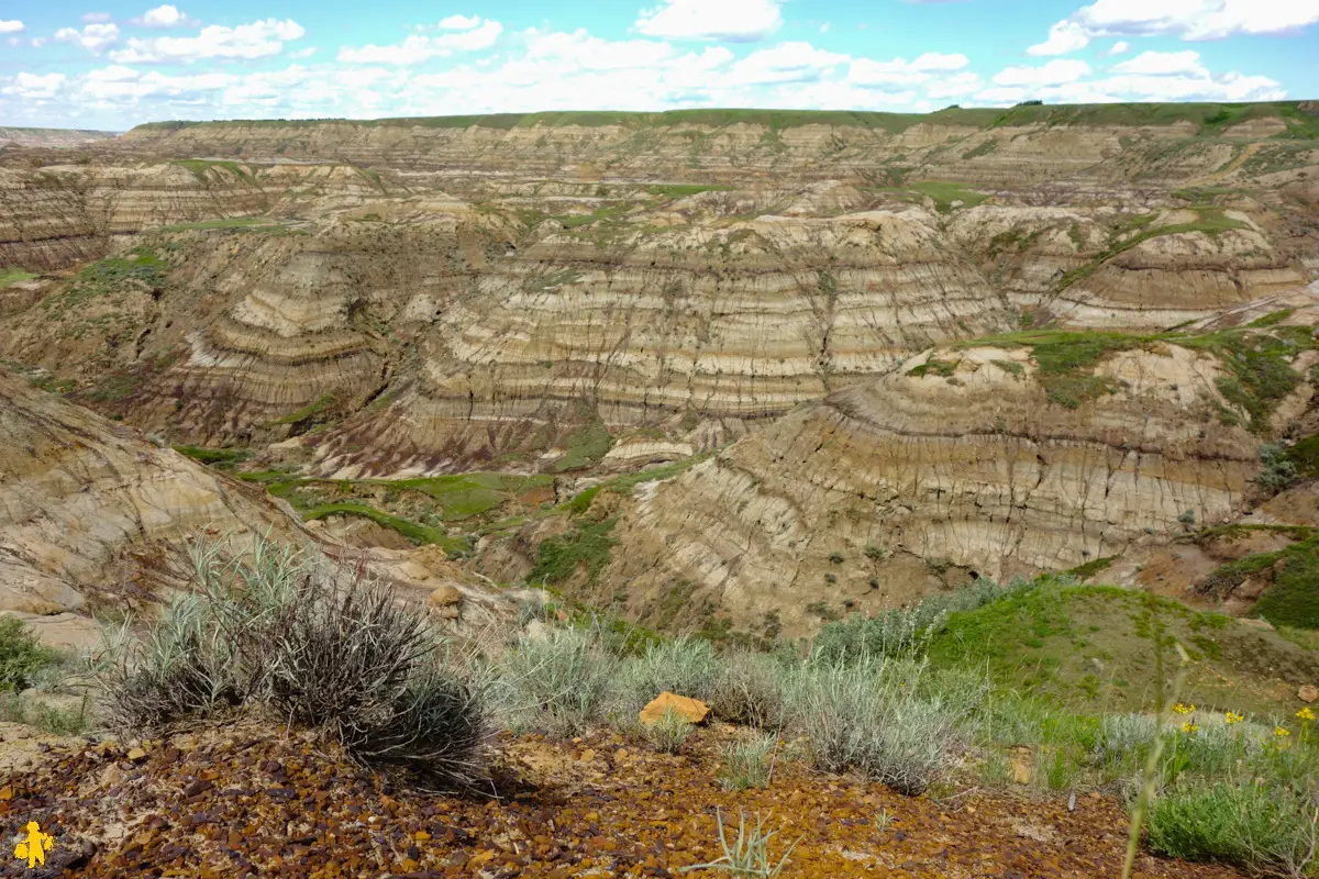 Horse Thieft Canyon Brumheller Alberta Ouest Canadien itinéraire conseil budget en famille