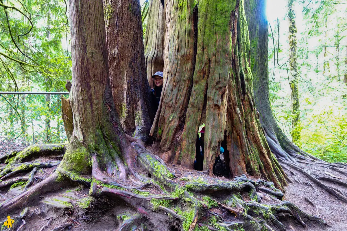 20170619 Ouest canadien Hope 1 Lynn canyon park Vancouver 60 120170601 Ouest canada Visiter Vancouver en famille | Blog VOYAGES ET ENFANTS