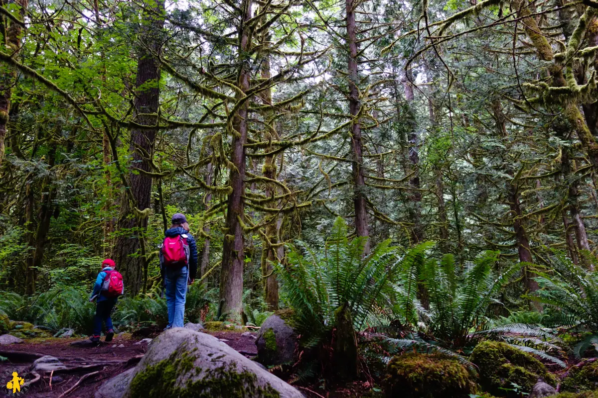 20170619 Ouest canadien Hope 1 Lynn canyon park Vancouver 70 120170601 Ouest canada Visiter Vancouver en famille | Blog VOYAGES ET ENFANTS