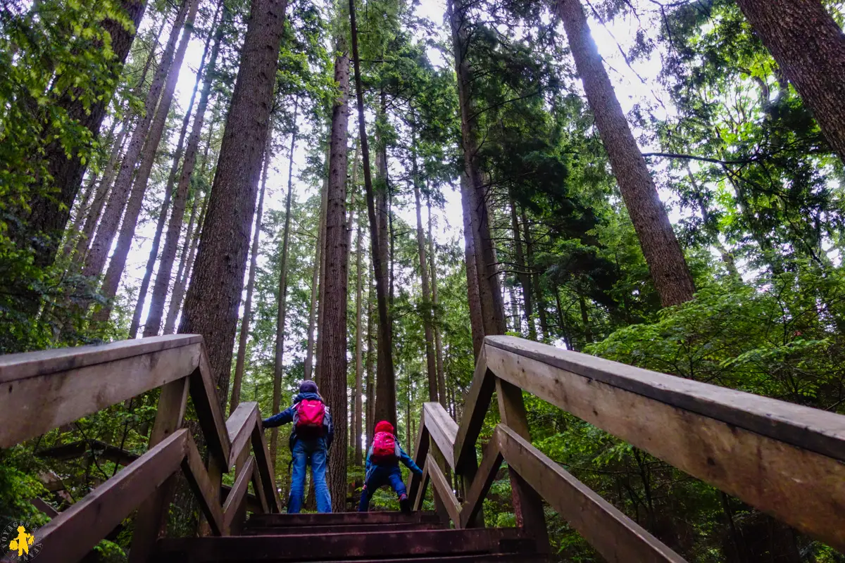 20170619 Ouest canadien Hope 1 Lynn canyon park Vancouver 85 120170601 Ouest canada Visiter Vancouver en famille | Blog VOYAGES ET ENFANTS