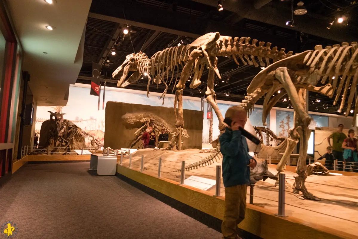 20170616 Ouest canadien Drumheller 1 Royal Tyrrel Museum 11 120170601 Ouest canadien Drumheller et les dinosaures en famille |VOYAGES ET ENFANTS