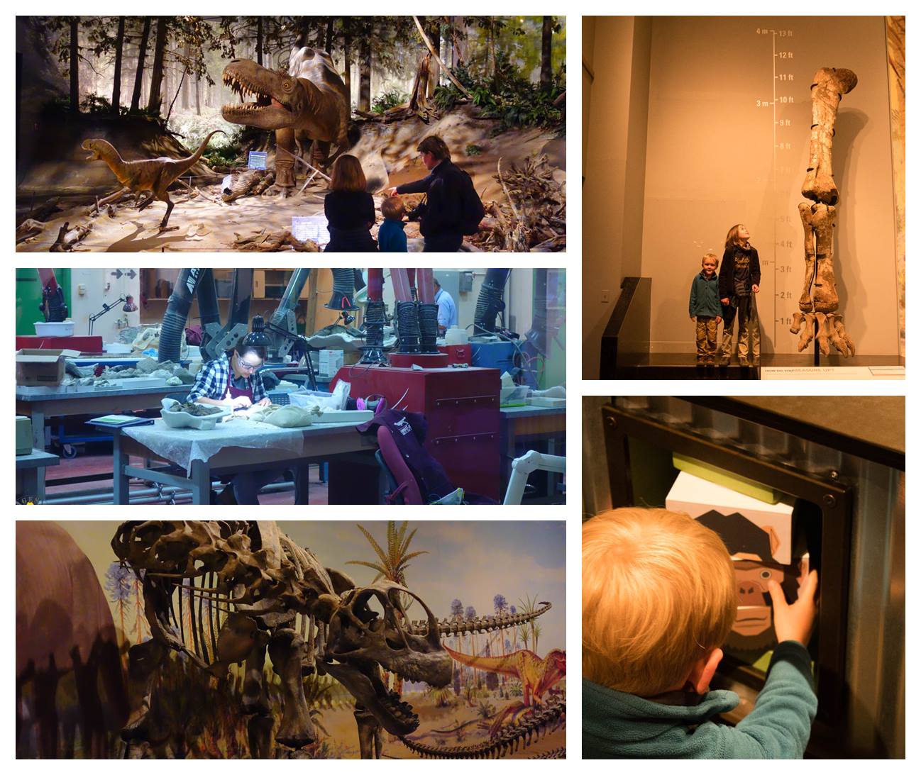 Drumheller Royal Tyrel Museum Drumheller et les dinosaures en famille |VOYAGES ET ENFANTS