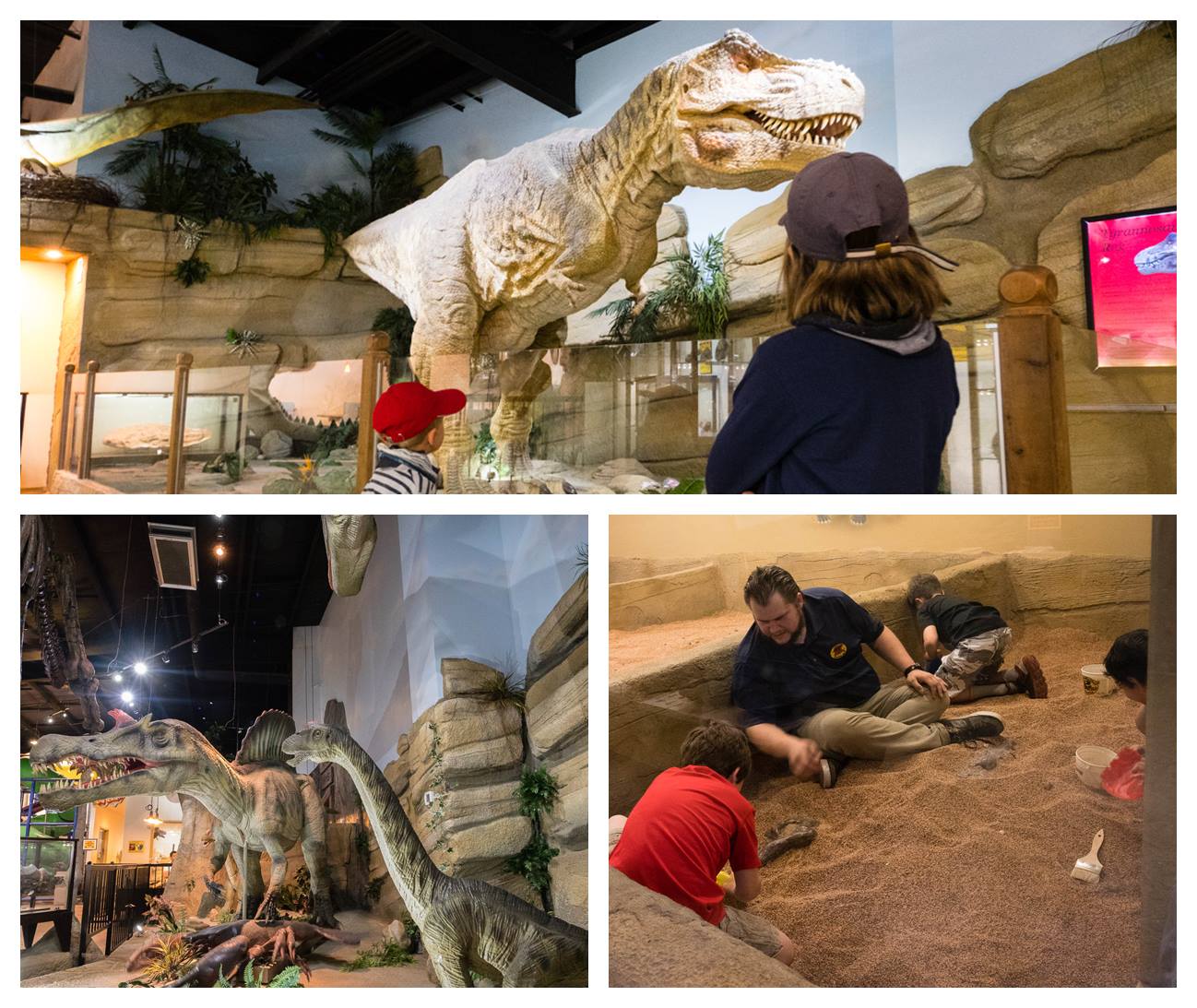Drumheller avec des enfants - Fossil Museum