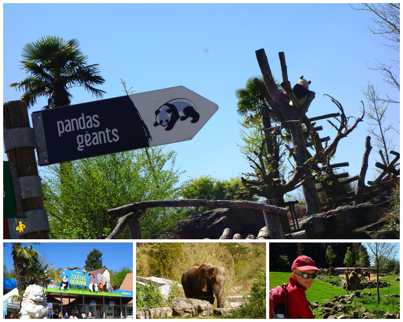 Zoo de beauval Côtes dArmor en camping car et en famille Voyages Enfants