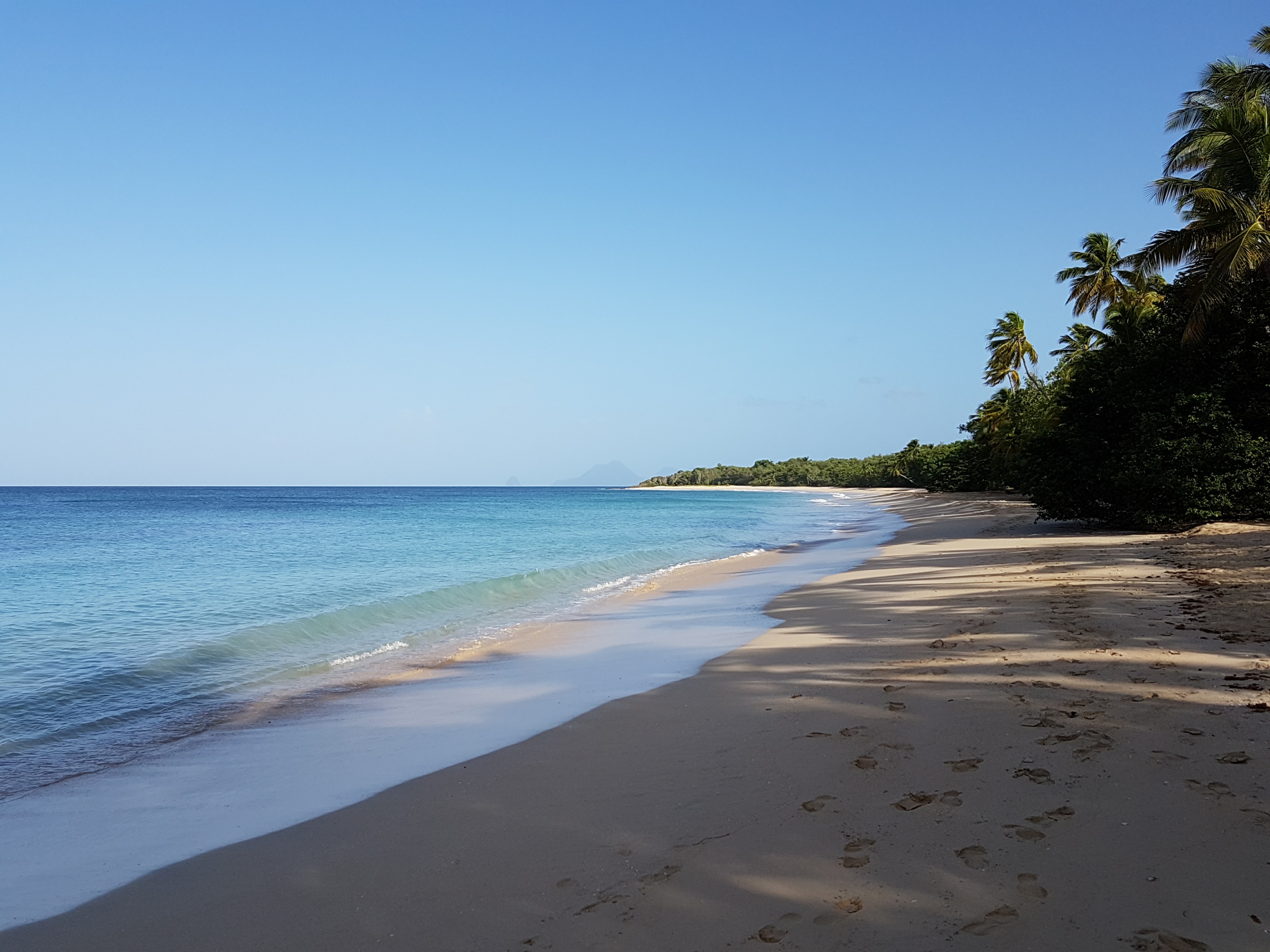 20160802 074705 Vacances en Martinique avec bébé 15 jours | Blog VOYAGES ET ENFANTS