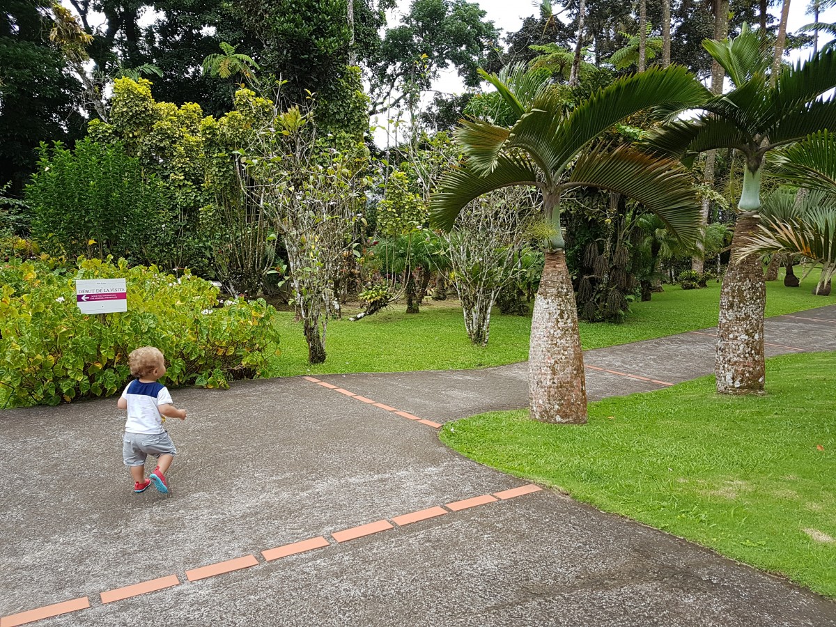 20160808 094613 Vacances en Martinique avec bébé 15 jours | Blog VOYAGES ET ENFANTS