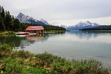 Parc National de Jasper randonnées et autres activités