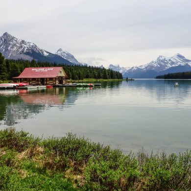 Parc National de Jasper randonnées et autres activités