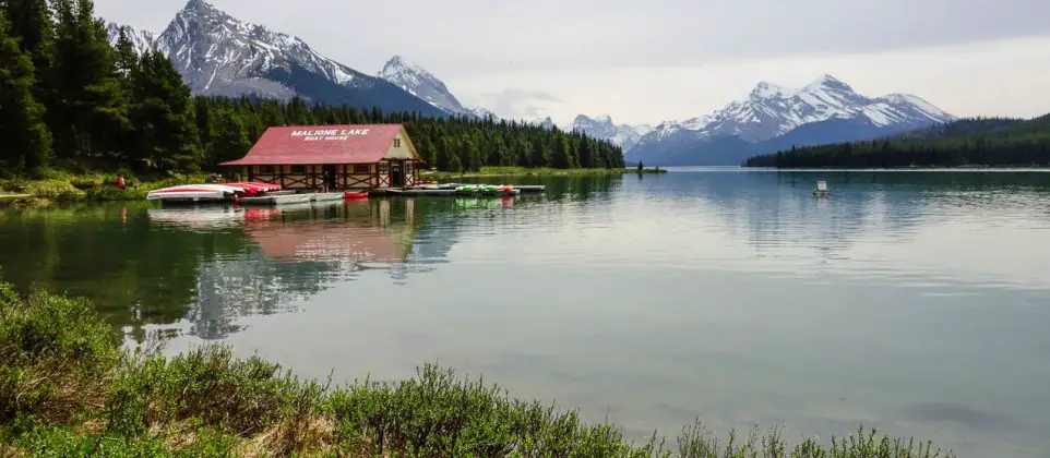 Parc National de Jasper randonnées et autres activités