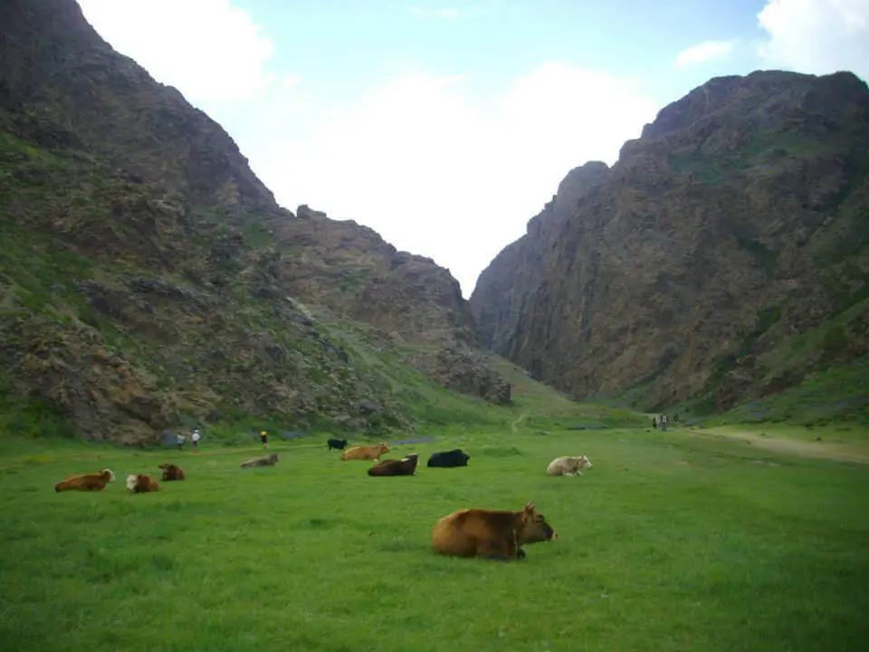 Voyage Mongolie avec bébé | Blog VOYAGES ET ENFANTS