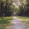 Louisiane en famille Etaus Unis avec enfant