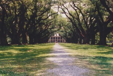 Louisiane en famille Etaus Unis avec enfant