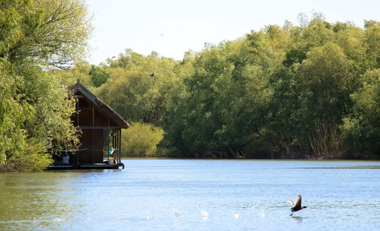 Voyage Roumanie en 2 semaines avec bébé | Blog VOYAGES ET ENFANTS