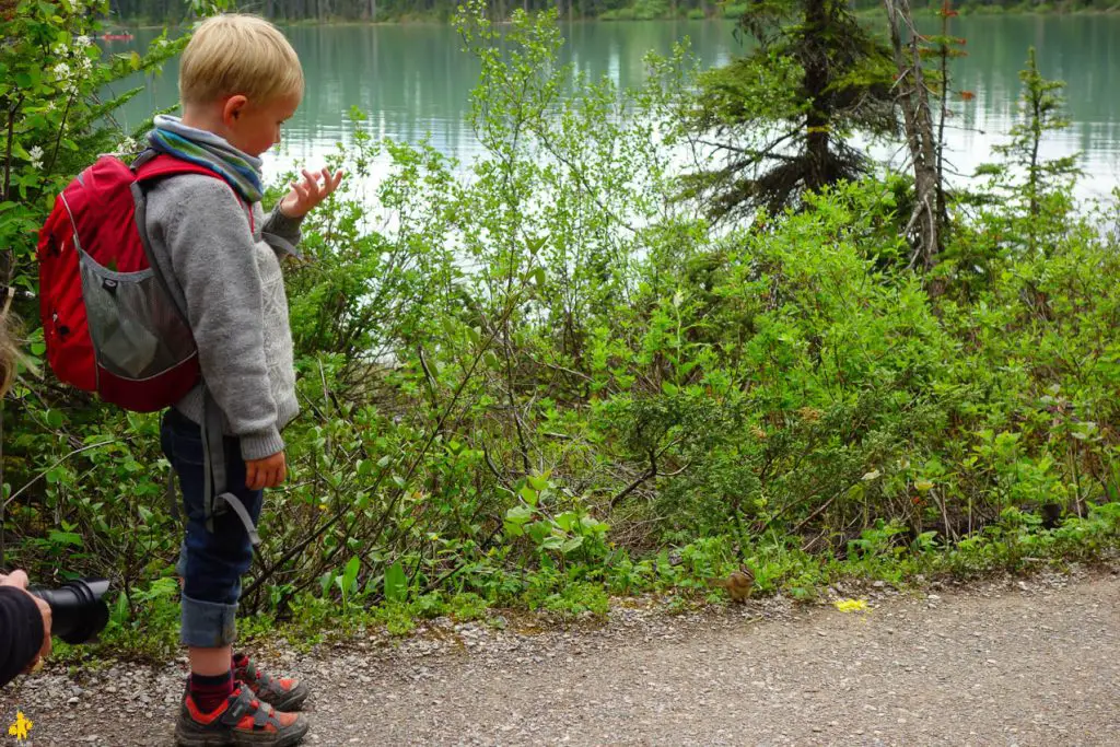 Visiter Parc Banff et Yoho en famille | VOYAGES ET ENFANTS