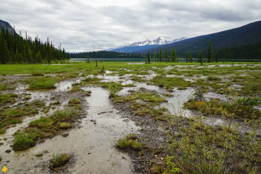 Visiter Parc Banff et Yoho en famille | VOYAGES ET ENFANTS