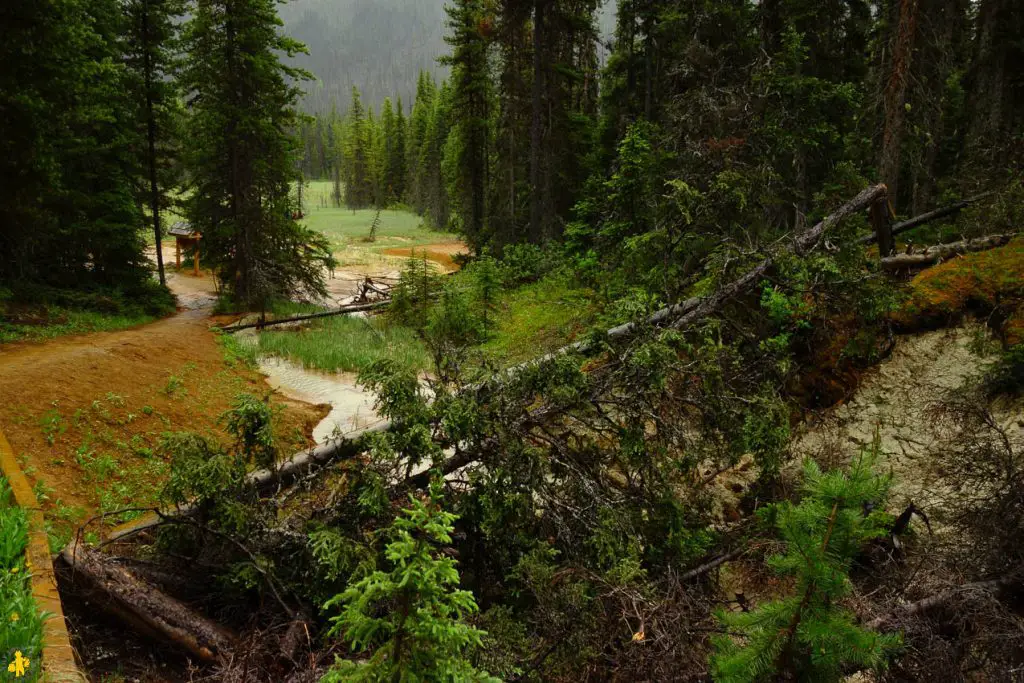 Visiter Parc Banff et Yoho en famille | VOYAGES ET ENFANTS