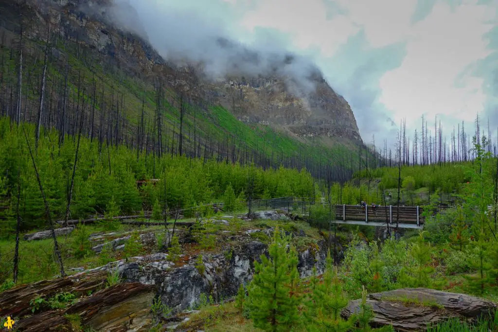 Visiter Parc Banff et Yoho en famille | VOYAGES ET ENFANTS