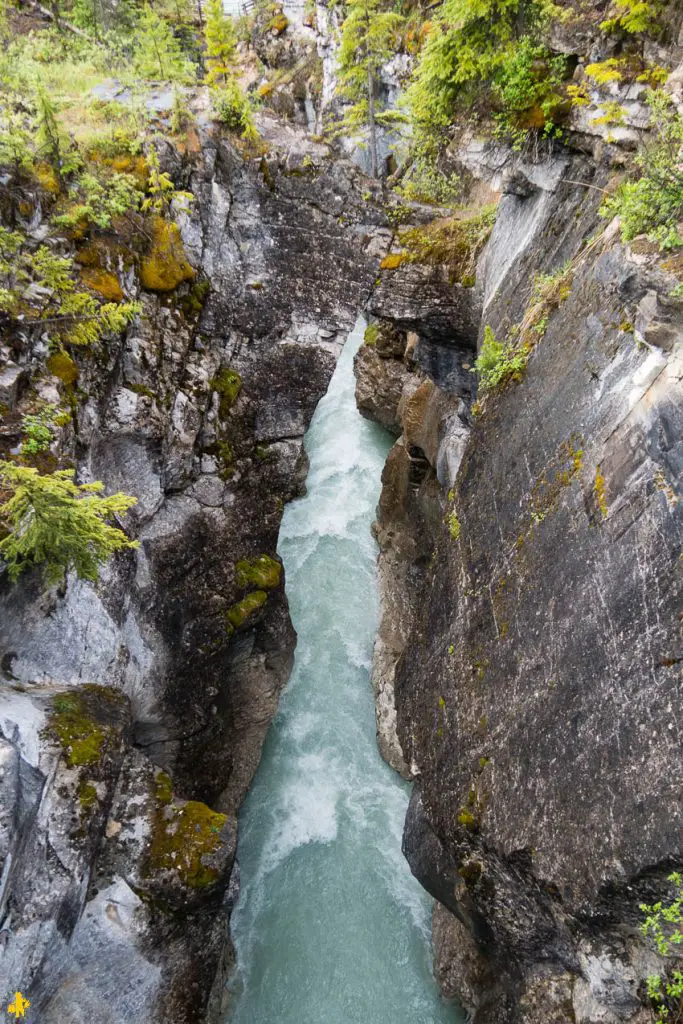 Visiter Parc Banff et Yoho en famille | VOYAGES ET ENFANTS