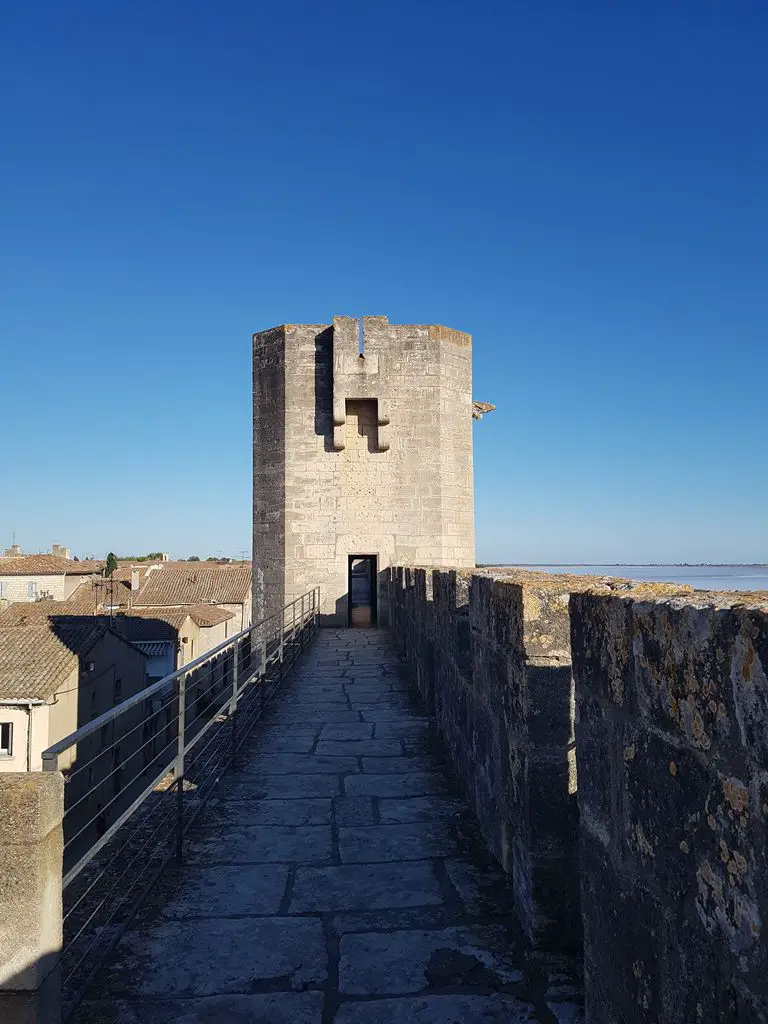 Camargue en bateau témoignage avis Camargue en bateau péniche en famille | VOYAGES ET ENFANTS