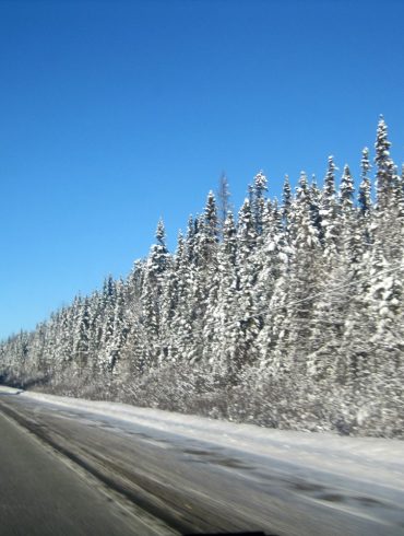 Organiser un road trip en famille en terres québécoises : à quoi faut-il penser?