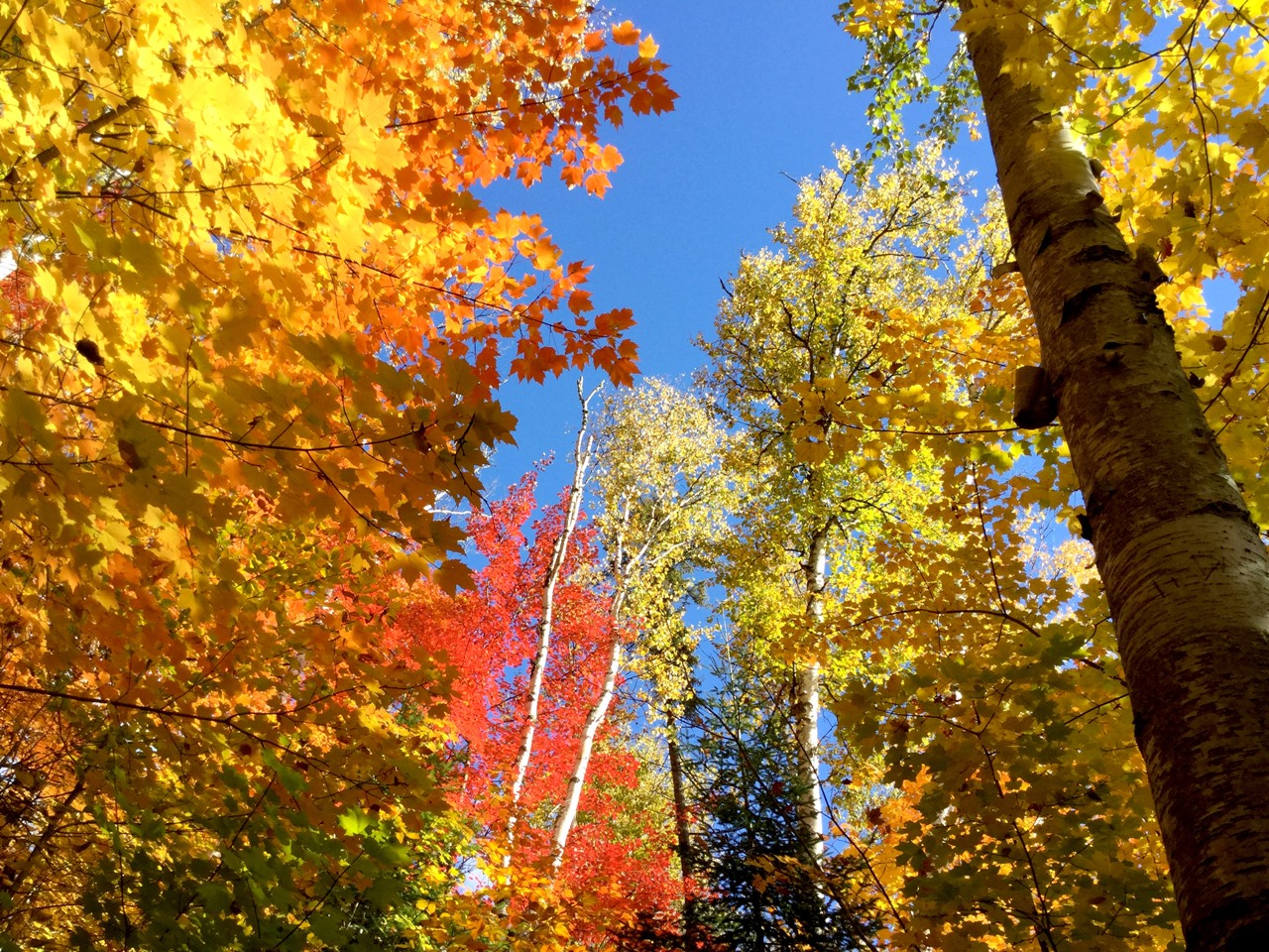 Road trip famille au Québec | Blog VOYAGES ET ENFANTS