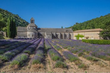 Provence originale avec des enfants