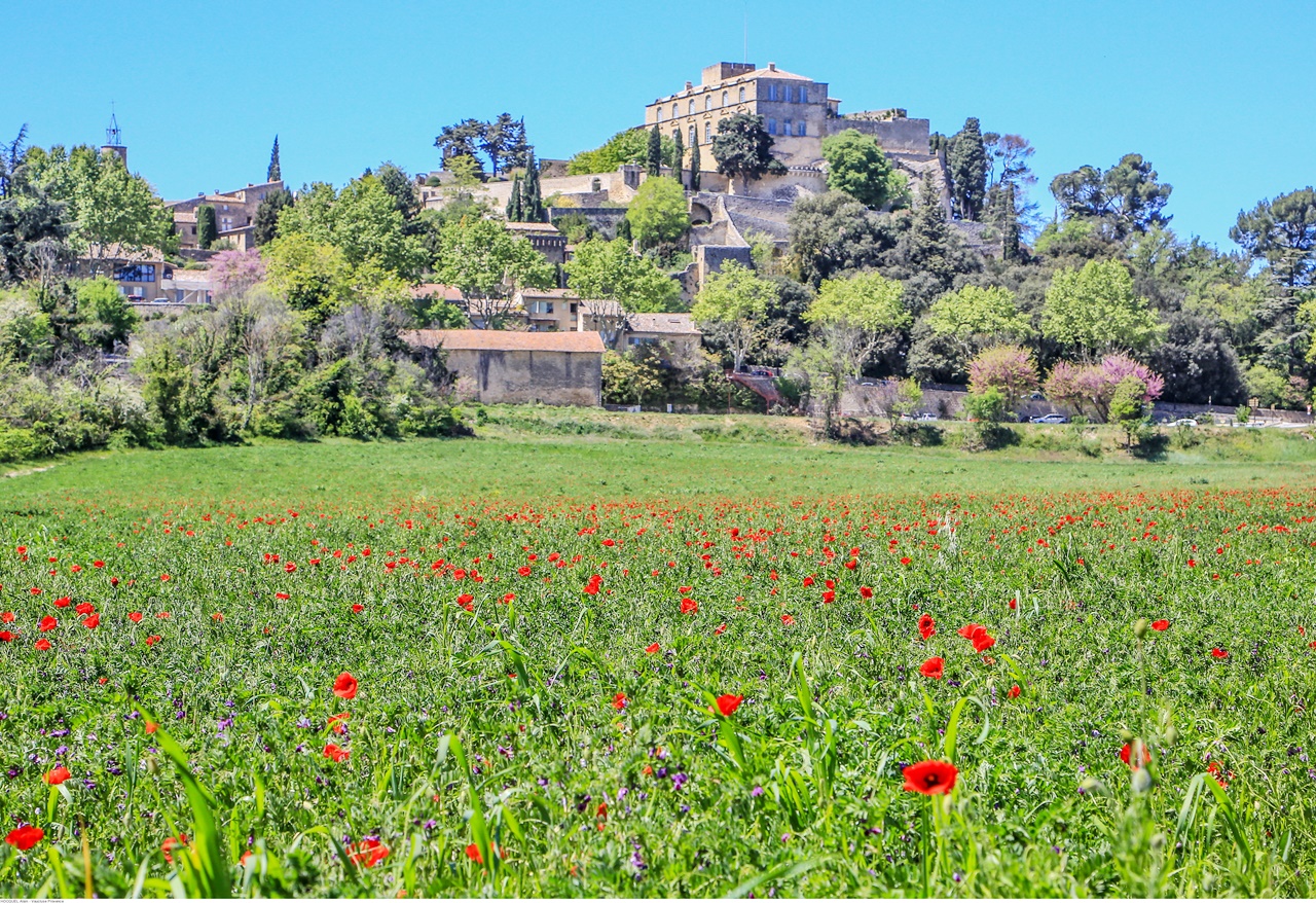 Provence en famille activité insolite La Provence avec des enfants activités famille originales