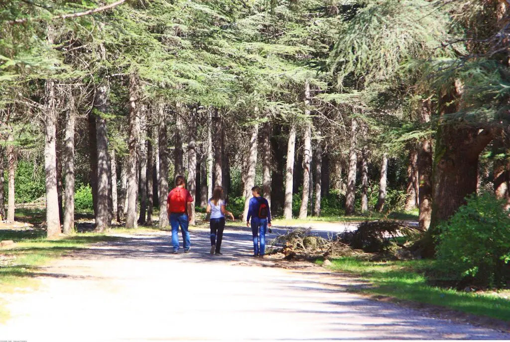 La Provence en famille Nature et activités gratuites | Blog VOYAGES ET ENFANTS