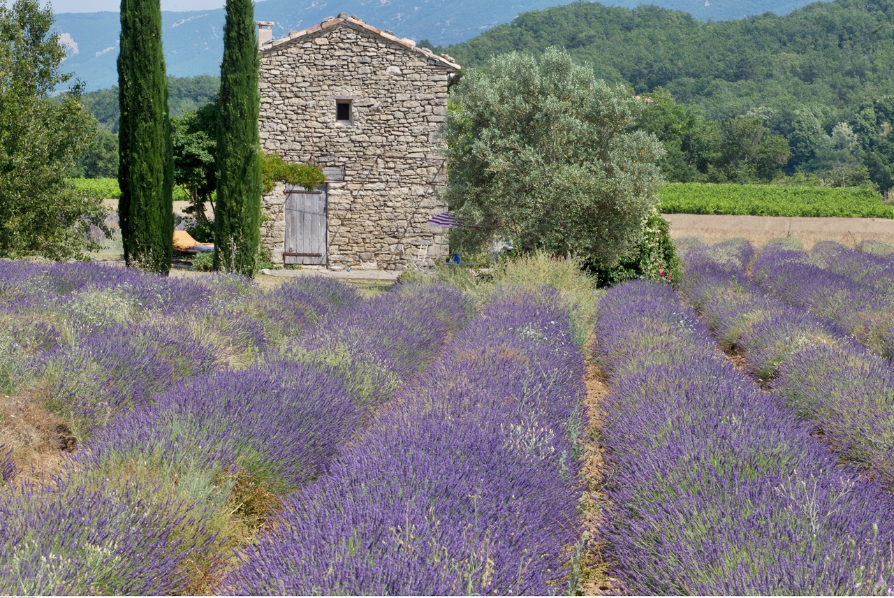 La Provence en famille Nature et activités gratuites | Blog VOYAGES ET ENFANTS