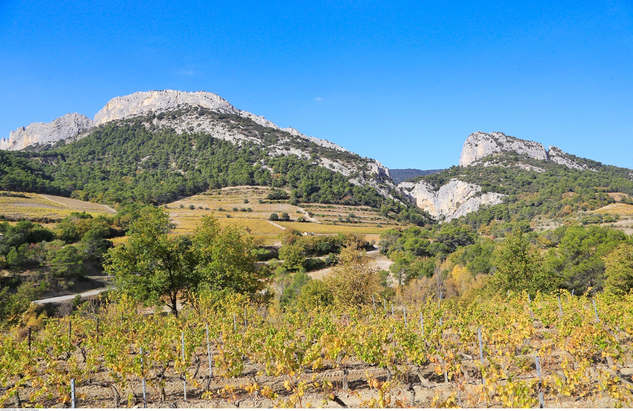 La Provence en famille Nature et activités gratuites | Blog VOYAGES ET ENFANTS